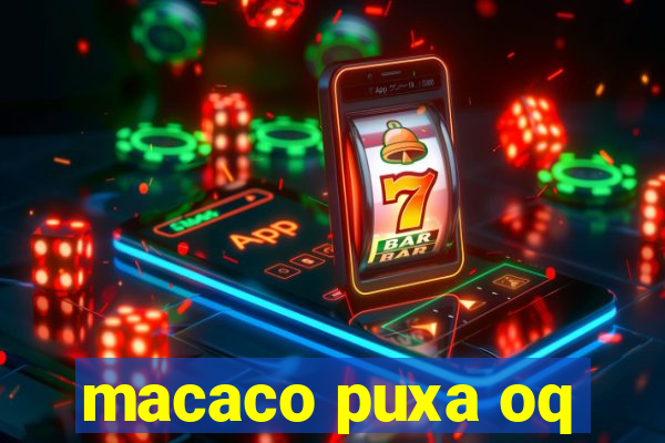 macaco puxa oq